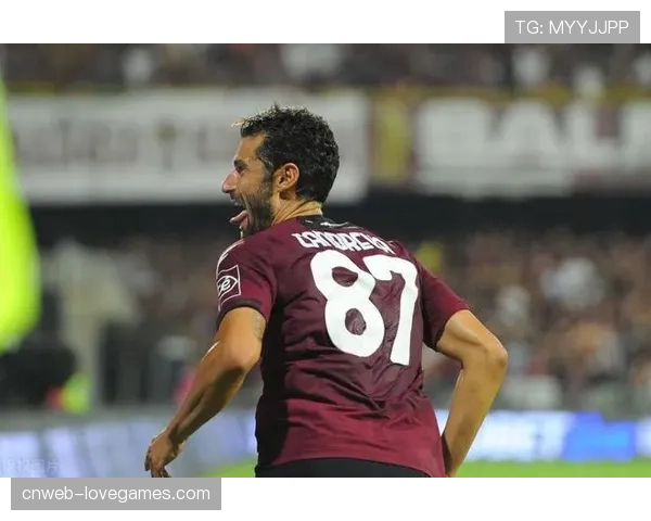 意甲将全面测试半自动越位技术，预计下赛季正式启用